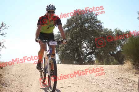 SERGIO SAEZ AYALA Talajara 2015 30955