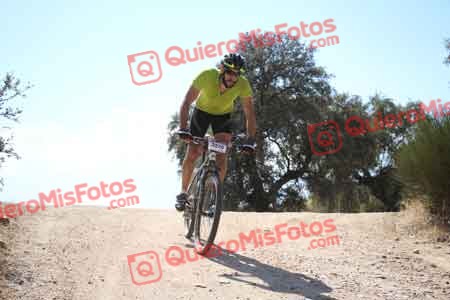 MARIO ALIA MORENO Talajara 2015 30956