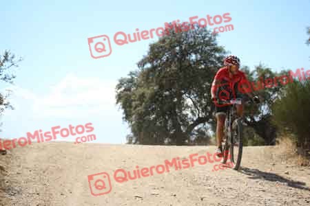 JOSE LUIS AZORIN REVENGA Talajara 2015 31005
