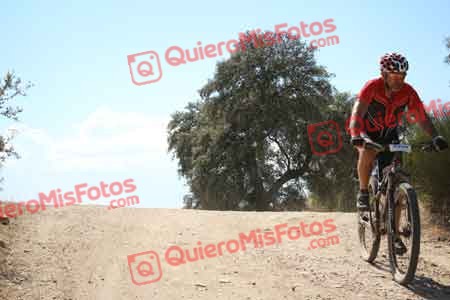 JOSE LUIS AZORIN REVENGA Talajara 2015 31006