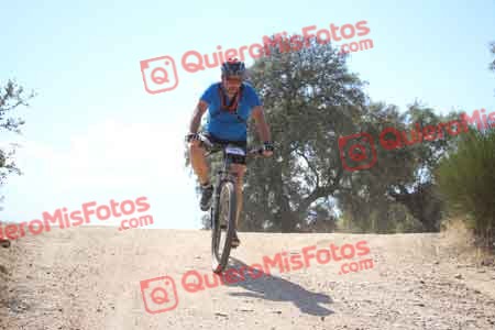 GERARDO PALACIO MARQUEZ Talajara 2015 31025