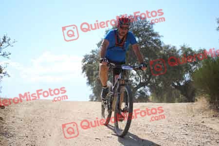 GERARDO PALACIO MARQUEZ Talajara 2015 31026