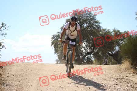 GUILLERMO GARCIA ROMERO Talajara 2015 31039