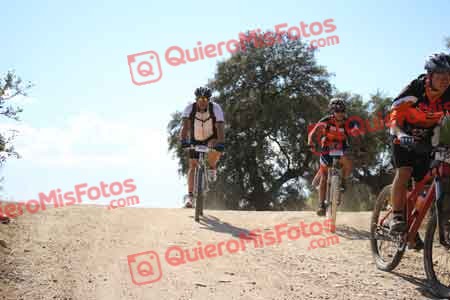 IVAN DORADO FUENTES Talajara 2015 31203