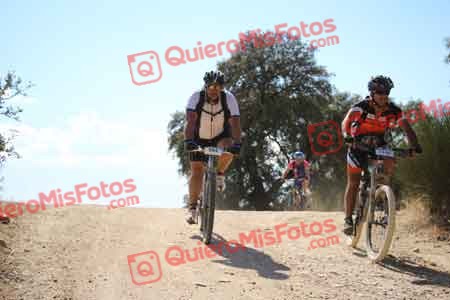 IVAN DORADO FUENTES Talajara 2015 31204