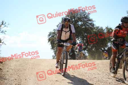 IVAN DORADO FUENTES Talajara 2015 31205