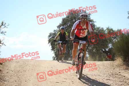 INIGO ESTEBAN GUINEA Talajara 2015 31226