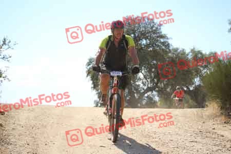 INIGO ESTEBAN GUINEA Talajara 2015 31228