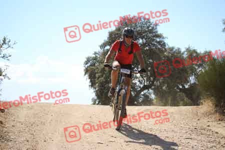 SANTIAGO MARISTANY PINEIRO Talajara 2015 31229