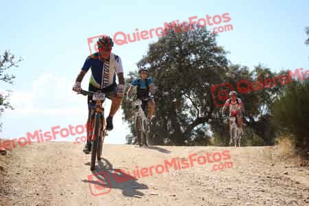MIGUEL MARTINEZ CAMACHO Talajara 2015 31309