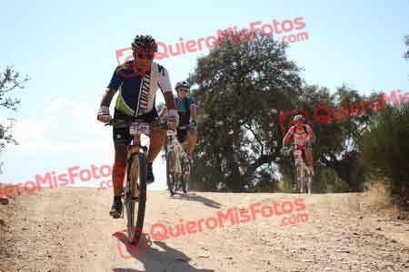 MIGUEL MARTINEZ CAMACHO Talajara 2015 31310