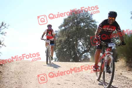 JOSE TOMAS CEDENILLAS BERNAL Talajara 2015 31455