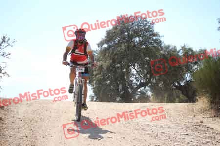 JOSE TOMAS CEDENILLAS BERNAL Talajara 2015 31456
