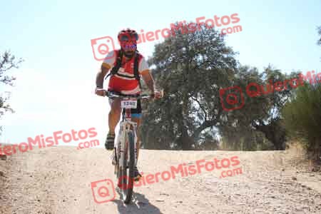 JOSE TOMAS CEDENILLAS BERNAL Talajara 2015 31457