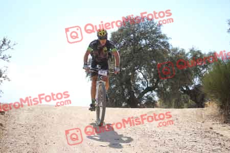 JOSE ANTONIO SANCHEZ DE LA BLANCA Talajara 2015 31623