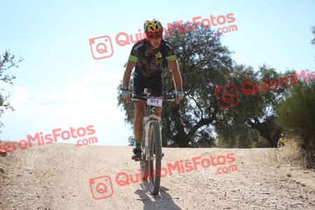 JOSE ANTONIO SANCHEZ DE LA BLANCA Talajara 2015 31624