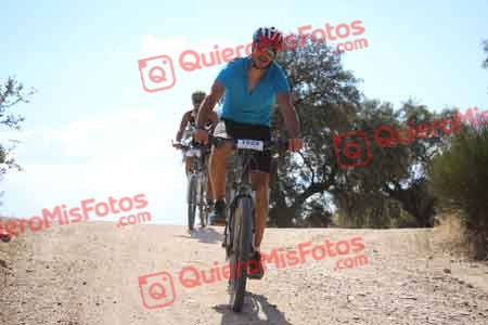 JAVIER DOMINGUEZ ALFAYATE Talajara 2015 31691