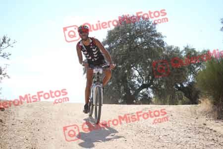 DAVID MAYORAL OLOMBRADA Talajara 2015 31692