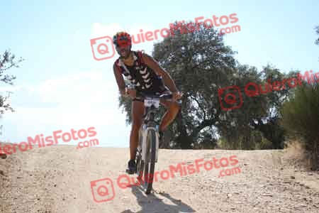 DAVID MAYORAL OLOMBRADA Talajara 2015 31693