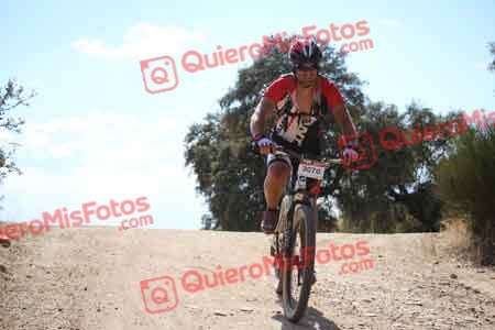 JON ZOTES ALONSO Talajara 2015 31708