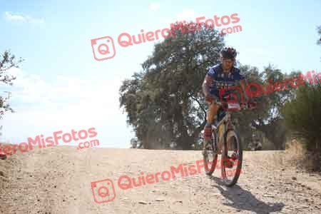 ANTONIO FERNANDEZ MARIN Talajara 2015 31764