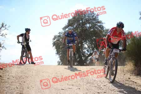 JOSE LUIS CABAL PEREZ Talajara 2015 31784