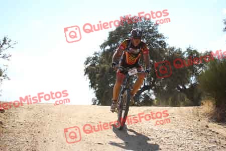 MIGUEL ANGEL MARCOS SANCHEZ Talajara 2015 31841
