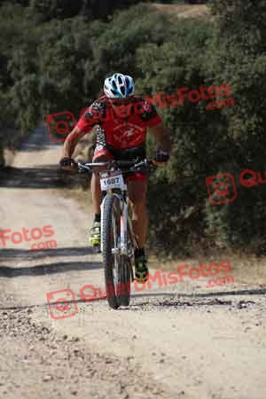 JORGE GALISTEO DE CABO Talajara 2015 00023