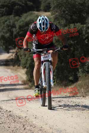 JORGE GALISTEO DE CABO Talajara 2015 00024