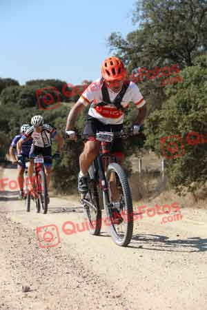 GUILLERMO ROTHE GOMEZ Talajara 2015 00103