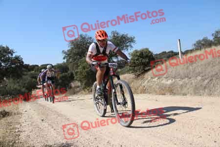 GUILLERMO ROTHE GOMEZ Talajara 2015 00104