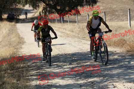 FRANCISCO JOSE BUENO HORNEROS Talajara 2015 00120