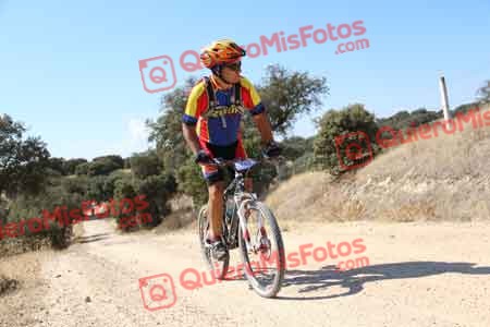 PAULINO VICARIO SANTAMARIA Talajara 2015 01392