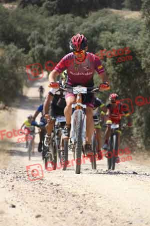 MIGUEL SERRANO SOLIS Talajara 2015 02161