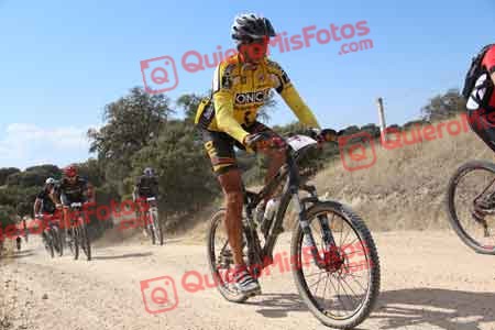 JOSE JAVIER NAVARRO HERNANDEZ Talajara 2015 03473