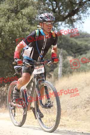JOSE LUIS VICARIO GOMEZ Talajara 2015 04169