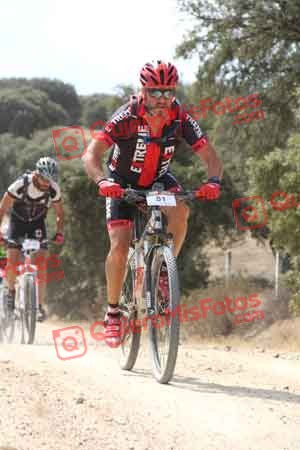 JESUS SAELICES NOVILLO Talajara 2015 05071
