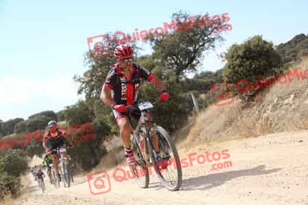 JESUS SAELICES NOVILLO Talajara 2015 05072