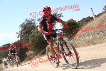 JESUS SAELICES NOVILLO Talajara 2015 05073