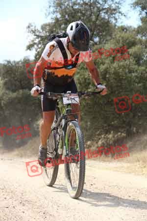 GERARDO MORENO MEDINA Talajara 2015 05097