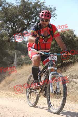 FRANCISCO JOSE GORDILLO TORRES Talajara 2015 06137