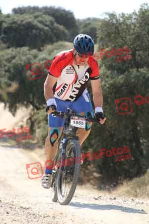JOSE ANTONIO MARTIN LOPEZ Talajara 2015 06574