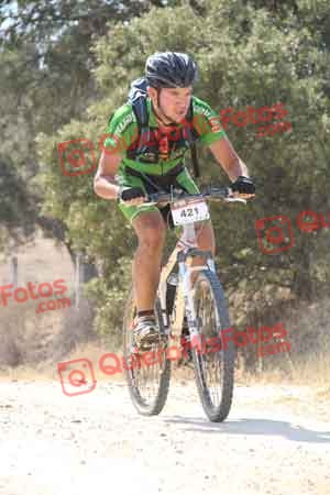 MARIO ACEITUNO ROSADO Talajara 2015 07325