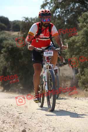 JOSE TOMAS CEDENILLAS BERNAL Talajara 2015 07327