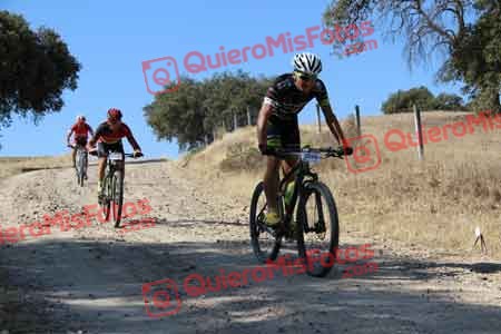 IVAN COCA DE LOS RIOS Talajara 2015 08010