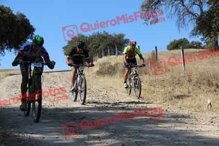 ENRIQUE SEVILLA DE LA FUENTE Talajara 2015 08038