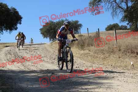 ANA CARMEN TORIBIO SANZ Talajara 2015 08330