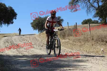 MARIANO HERNANDEZ BARRERA Talajara 2015 08378