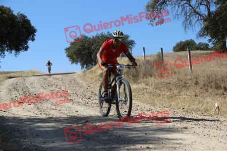 ROBERTO MARTIN ESTEBAN Talajara 2015 08402