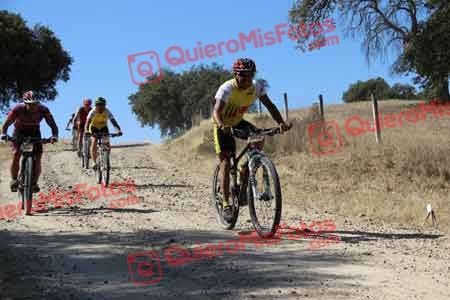 JUAN PEDRO POZA COSTA Talajara 2015 08411